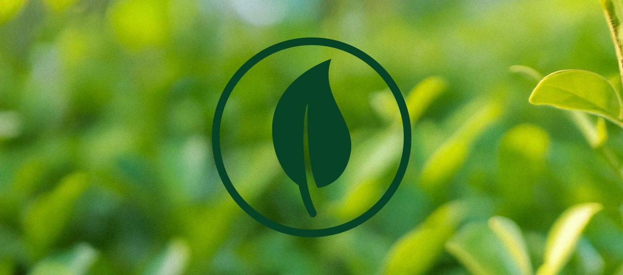 Environnement Environnement