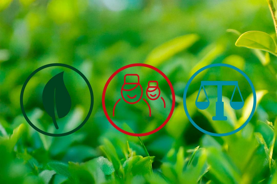 Durabilité Durabilité