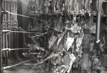 Nettoyage de l'éviscérateur de volailles Nettoyage de l'éviscérateur de volailles